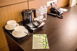 Отель GREEN PARK HOTEL&SPA. Стандарт двухместный  3