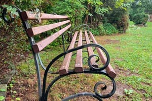 Гранд Алексик 11