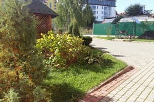 Камелия 3