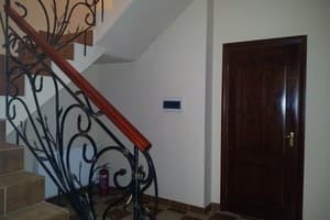 Камелия 6