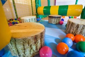 Лесная Песня 24