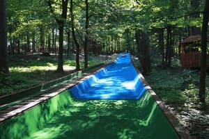 Лесная Песня 26