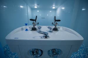 Лесная Песня 3