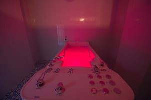 Лесная Песня 5