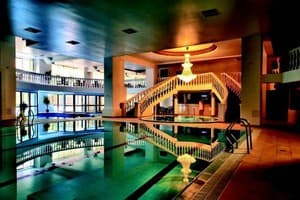 Royal Hotels and Spa Resorts(Женева) 7