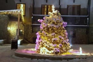 Шале Грааль 24