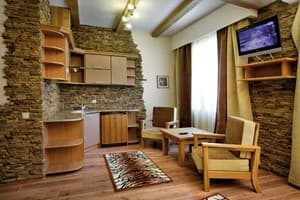 Апарт-отель Шале Грааль. Студио двухместный  7